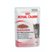 Kitten Instinctive jelly Royal Canin